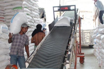 Doanh nghiệp cầu cứu Thủ tướng vì 'bất cập' mở tờ khai xuất khẩu gạo giữa đêm ​