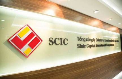 Ai sẽ sở hữu lô 450 tỷ đồng cổ phiếu của Nhiệt điện Hải phòng do SCIC đấu giá?