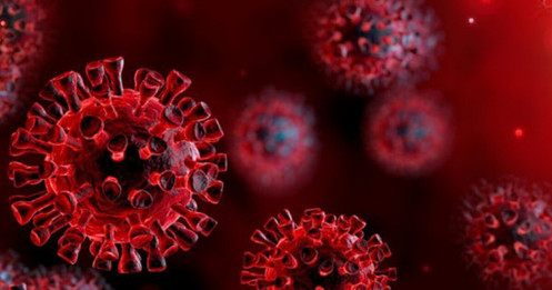 Nghiên cứu: Virus corona vẫn sống sót ở nhiệt độ 60°C