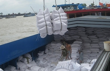 Nhiều doanh nghiệp xuất khẩu gạo bức xúc vì không mở được tờ khai hải quan