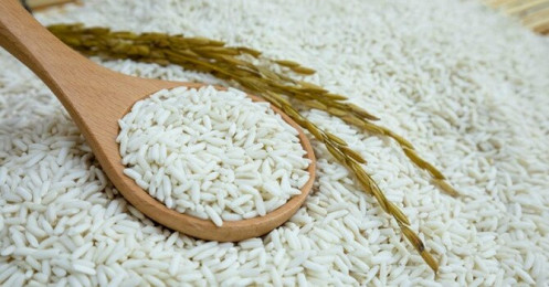 Bộ Nông nghiệp và Phát triển nông thôn đề nghị cho xuất khẩu gạo nếp
