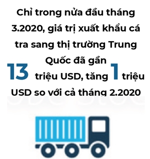 Thị trường khởi sắc, xuất khẩu thủy sản đứng trước "giai đoạn vàng" để phục hồi?