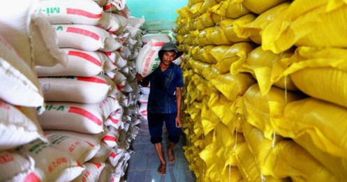 Hai bộ Công thương, Tài chính phải báo cáo Thủ tướng việc xuất khẩu gạo