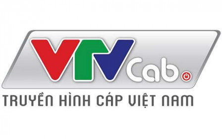 VTV Cab báo lỗ quý 4, lãi ròng cả năm 2019 giảm mạnh