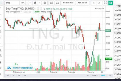 Cổ phiếu TNG "đỏ lửa" sau khi công bố kết quả kinh doanh quý 1/2020