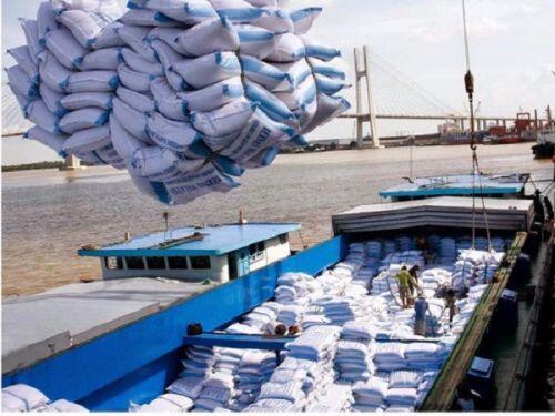 Doanh nghiệp từ chối hợp đồng cung cấp gạo dự trữ quốc gia: Giá tăng cao so với giá đấu thầu