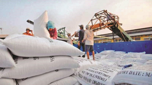 Hải quan đề nghị không quản lý xuất khẩu gạo bằng hạn ngạch