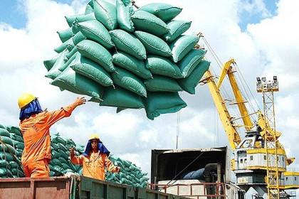 Lãnh đạo một số doanh nghiệp top đầu trúng xuất khẩu gạo nằm trong VFA
