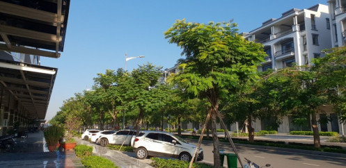 Giao dịch giảm nhưng giá nhà chưa giảm