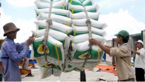 Ngày 12/5 sẽ đấu thầu lại 182.300 tấn gạo dự trữ quốc gia