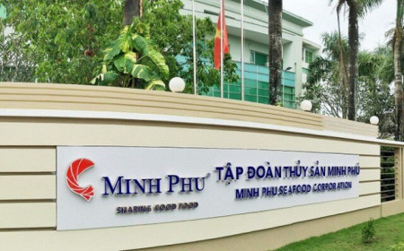 Thủy sản Minh Phú lên kế hoạch lãi trước thuế 2020 gấp 3 lần năm trước