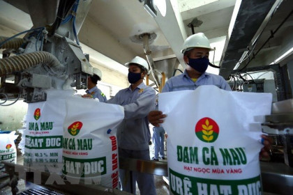 Cổ phiếu cần quan tâm ngày 21/4: DCM, VHC, FPT