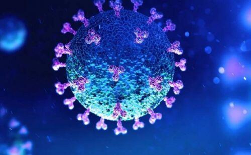 Chuyên gia Thụy Sỹ: Virus SARS-CoV-2 tấn công niêm mạc mạch máu, gây suy đa tạng