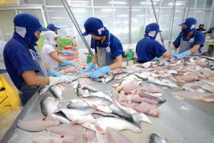 Xuất khẩu cá tra sẽ tăng trưởng mạnh ở Trung Quốc và Mỹ