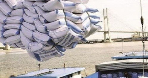 Tờ khai hải quan lô gạo 9.700 tấn của doanh nghiệp bỗng nhiên mất toàn bộ dữ liệu