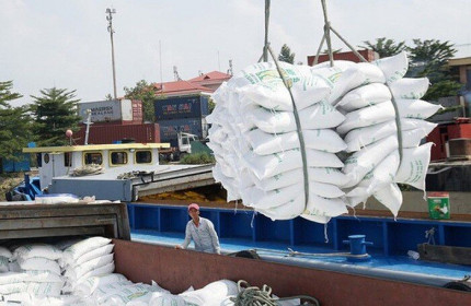 Doanh nghiệp đưa gạo vào cảng trước 24/3 được 'chia' hạn ngạch 100.000 tấn