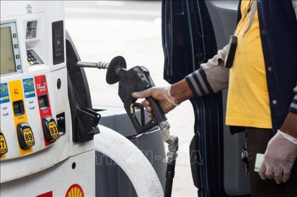 Giá dầu WTI tăng trở lại lên hơn 13 USD/thùng