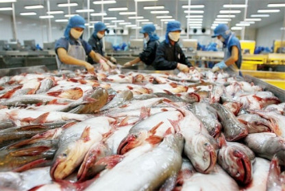 Mỹ áp thuế chống bán phá giá 0,15 USD - 2,39 USD/kg với cá tra-ba sa của Việt Nam