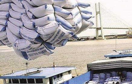 Nối lại xuất khẩu cho 17.000 tấn gạo mắc kẹt tại cảng, cửa khẩu