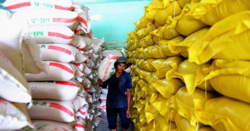 Từ 0h ngày 26-4, tiếp nhận tờ khai đăng ký xuất khẩu hơn 38.600 tấn gạo