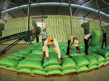 Từ 0 giờ ngày 28.4 mở đăng ký tờ khai xuất khẩu gạo được hồi lại