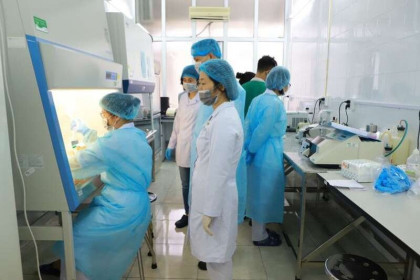 Ngoài thương vụ máy XN COVID-19, Cty Y tế Việt trúng bao nhiêu gói thầu ở Quảng Ninh?