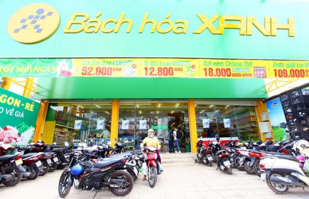 MWG: Lãi ròng quý 1 tăng trưởng 9%, nắm lượng tiền trên 7 ngàn tỷ đồng