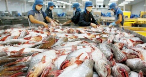 Hậu Covid-19, doanh nghiệp xuất khẩu cá tra có thể tăng tốc vào thị trường ASEAN