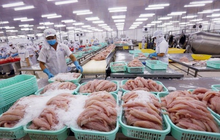Bất chấp dịch Covid-19, kim ngạch xuất khẩu tháng 4 vẫn đạt 19,7 tỷ USD