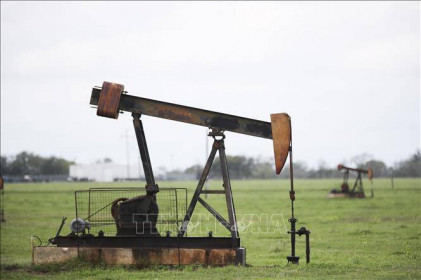 Dừng gần 300 thỏa thuận khai thác dầu khí tại Montana, Mỹ
