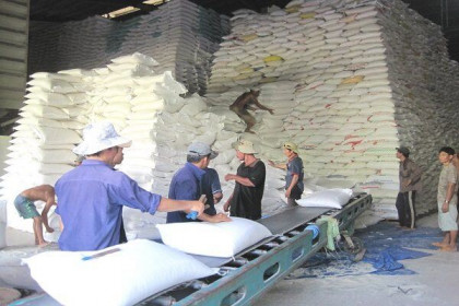 Giá trị đảm bảo thực hiện hợp đồng cấp gạo dự trữ được nâng lên 5%