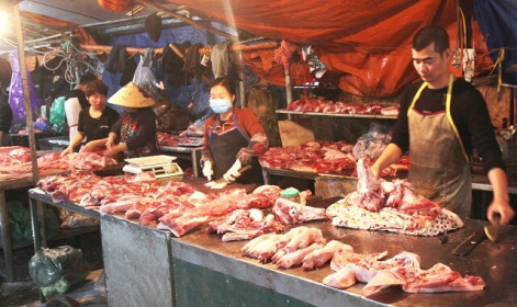 Giá thịt lợn vẫn cao ngất ngưởng