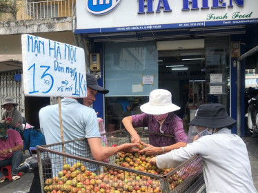Mận Hà Nội vào Sài Gòn, giá 'loạn cào cào'