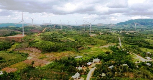Quảng Trị xem xét bổ sung kế hoạch sử dụng đất cho nhà máy điện gió 1.554 tỷ đồng