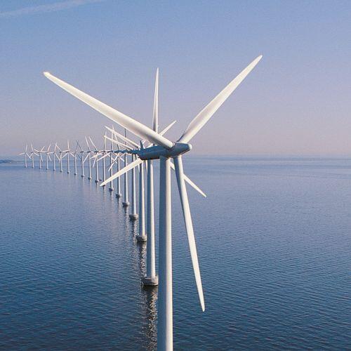 Doanh nghiệp muốn gia hạn cơ chế giá FIT để thúc đẩy phát triển điện gió
