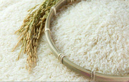 Bộ Tài chính công bố kết quả kiểm tra việc mua gạo dự trữ quốc gia