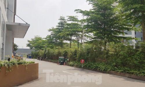 Cận cảnh khu chung cư bị đề nghị thanh tra vì làm 'mất' đường đi ở Hà Nội