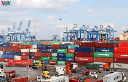 Hơn 1.000 container phế liệu đang tồn đọng tại cảng Cát Lái