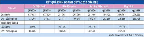 Đến đại hội REE, cổ đông nên hỏi gì?