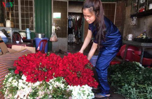 Lâm Đồng: Rau, hoa tăng giá trở lại, nhà vườn phấn khởi