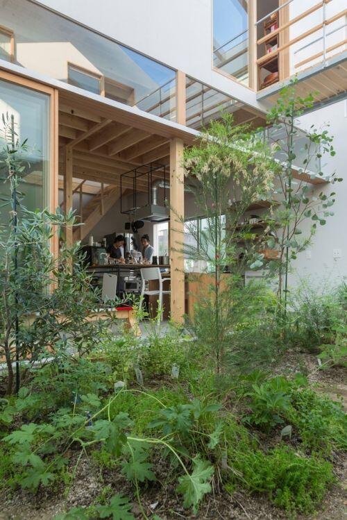 Ngôi nhà bên ngoài đơn giản, bên trong ẩn chứa cả vườn cây xanh mát