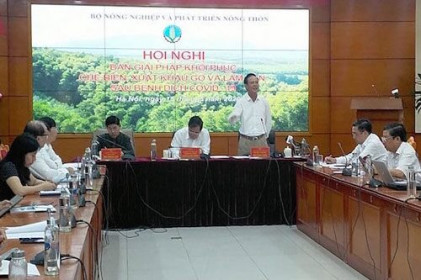 Xuất khẩu gỗ năm 2020 hoàn toàn có thể đạt khoảng 12 tỷ USD