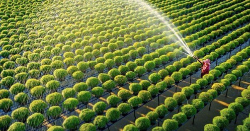 Để thị trường bất động sản nông nghiệp của Việt Nam phát triển bền vững