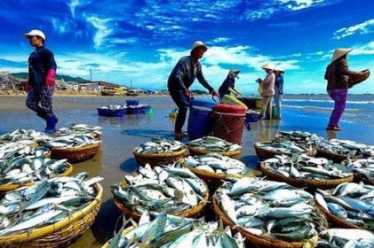 Xuất khẩu hải sản sẽ đem về 3,3 tỷ USD trong 2020