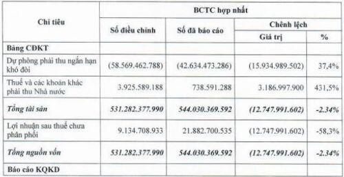 Sau kiểm toán, Vipesco giảm 95% lãi ròng năm 2019