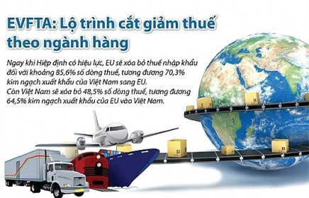 EU xóa bỏ khoảng 85,6% số dòng thuế nhập khẩu đối với hàng hoá Việt Nam ngay khi EVFTA có hiệu lực