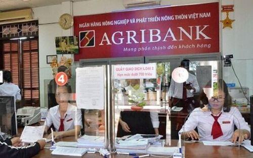 Tăng vốn cho Agribank thay vì “ném” tiền ngân sách vào dự án thua lỗ nghìn tỷ
