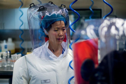 Phòng thí nghiệm Vũ Hán có 3 mẫu virus Corona bắt nguồn từ dơi