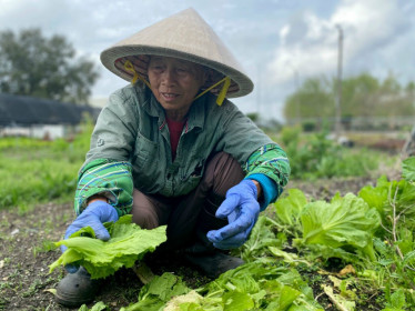 Cộng đồng gốc Việt ở Mỹ vượt qua nhiều thách thức