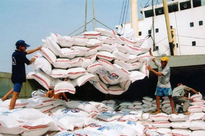 Xuất khẩu gạo đạt gần 1 tỉ USD